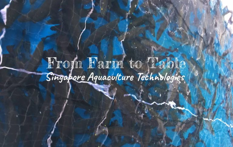 Singapore’s Modern Farms Series: Singapore Aquaculture Technologies